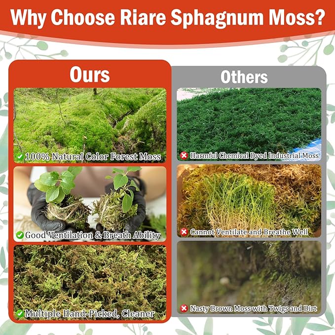 Riare 3.5OZ Premium Sphagnum Moss for Plants- 4QT Natural Dried Plant Moss for Potted Plants, Orchid Moss for Repotting, Soft Green Decorative Moss for Succulents, Reptiles & DIY Crafts
