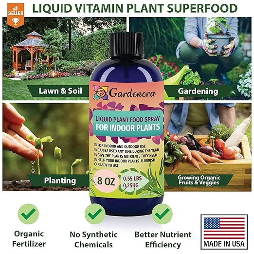 Gardenera Plant Growth Superfood for Spider Plant with 18 Vitamins & Minerals - Organic Plant Food Fertilizer - Micro-Fungi and Bio-Organisms for Spider Plant Care & Growth Enhancement - 8oz