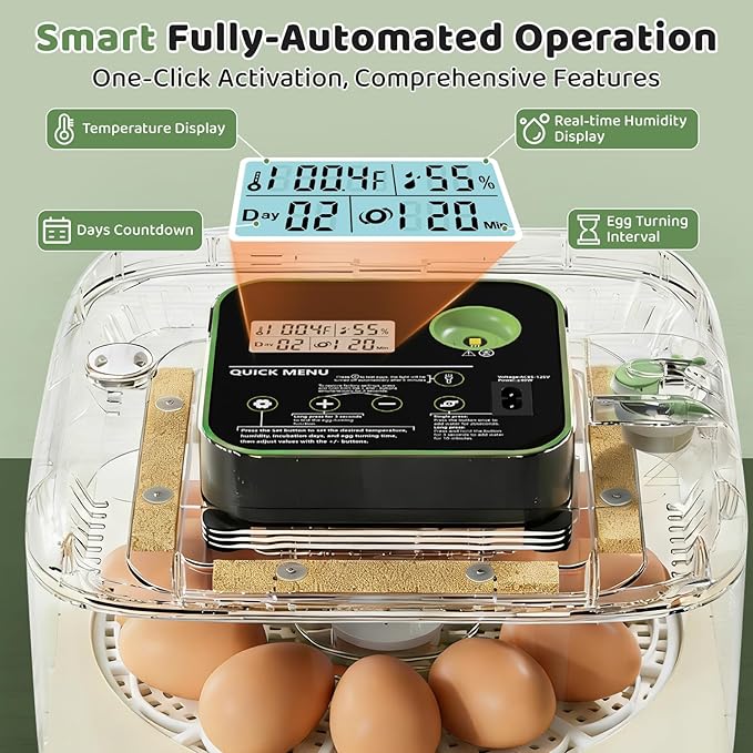 Incubators for Hatching Eggs 12 Egg Digital Egg Incubator Precision Auto Temp Humidity Control 6 Gear Adjustable Auto Turner Auto Stop Turning Hatching Days Display for Chicken Duck Goose Eggs (Green)