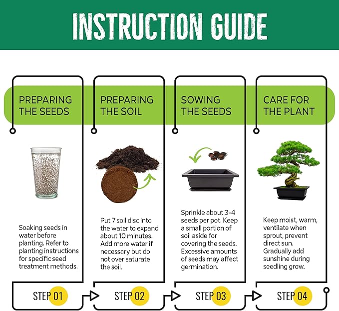 Bonsai Starter Kit – Japanese Bonsai Tree Kit 7 Seeds Pots – Complete Grow Your Own – Plant Lover Gifts Home Gifts for Men and Women