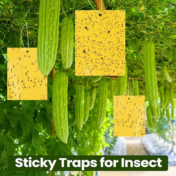 Qualirey 150 Pcs 6x8 Inch Yellow Sticky Traps for Gnats, Dual-Sided Sticky Gnat Traps for Indoor Outdoor Plants, Pest Control for Fungus Gnats, Fruit Flies, Whiteflies – Bulk Pack with Twist Ties