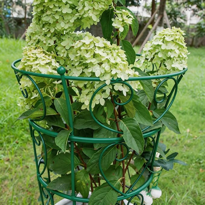 24.6" Peony Support Heavy Duty Garden Cage for Peonies, Dahlias & Hydrangeas - Durable Metal Plant Support for Outdoor Garden Flowers & Landscape Decoration | Easy Installation for Gardeners