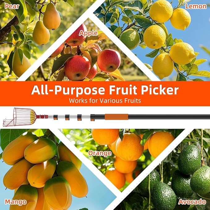 26FT Reach Fruit Picker Pole with Basket Telescoping,5-20FT Fruit Picker Pole with Basket, Apple Picker with Telescoping Long Handle, Fruit Grabber with Sturdy & Adjustable Aluminum Pole for Orange