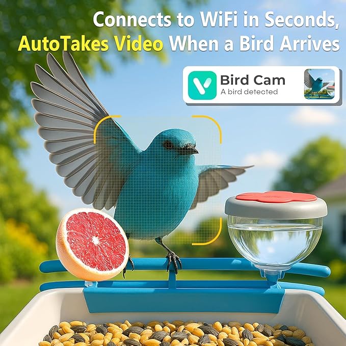 Smart Bird Feeder with Camera - 2K Live Stream, AI Species Recognition, Solar-Powered, Motion Alerts, Squirrel-Proof Weight-Sensor + Large Capacity, Weatherproof Design, Gift for Birds Lover
