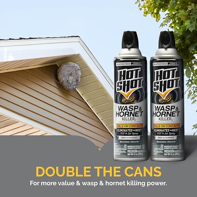 Hot Shot Wasp and Hornet Killer Aerosol, Up to 27-Foot Jet Spray, 14 Ounces, 2 Pack