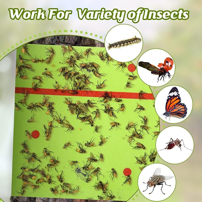 Qualirey 4 Rolls Spotted Lantern Fly Traps 30 Feet Each Roll Fly Tree Trap Sticky Strips Outdoor Fruit Glue Strips Disposable Tape Indoor Paper Sheets for Protecting Trees (Green)