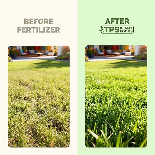 Yard Fertilizer – Liquid Lawn & Grass Fertilizer for Green, Healthy Turf, 1 Gallon