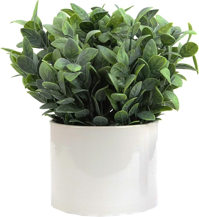 Admired by Nature 8.25" H Artficial Frosted Ruscus Ceramic Potted Plant Indoor Faux Plant décor, Wedding Centerpieces, Tabletop, Home Décor, Office Desk, Kitchen Table Décor or Decor for Shelves