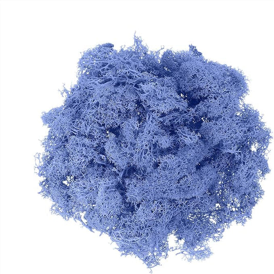 uxcell Preserved Reindeer Moss, 17.6oz Fake Moss for Crafts Artificial Dried Moss for Decoration Terrariums Potted Plants, Sky Blue