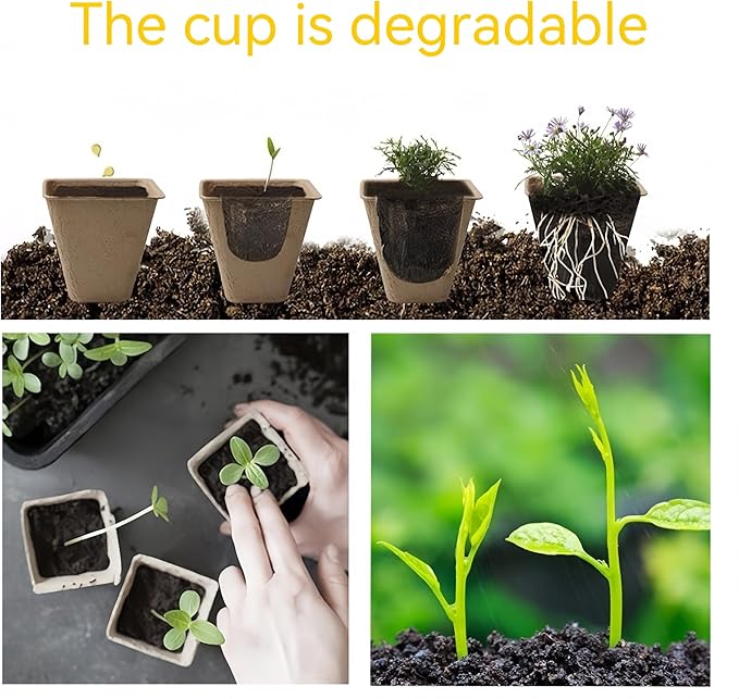 480 Cells Seed Starter Tray 48 Packs Biodegradable Peat Pots Germination Trays Organic Seed Starting Trays kit with 48 Labels 2 Transplant Tools