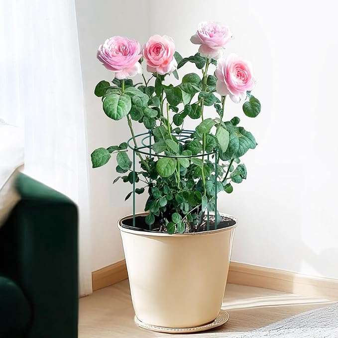 SYITCUN 8pack Peony Cages and Supports, 14 x 32 Inch Four Legs Peony Cage, Heavy-Duty Peonies Support Cages, Peony Ring for Roses, Hydrangeas, Sage, Peonies, Cucumbers, Tomato