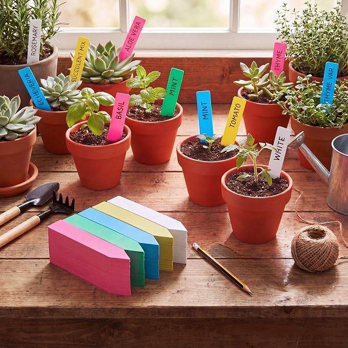 1000 Pcs 6 Inch Plastic Plant Labels Waterproof Garden Plant Tags Markers for Seedlings Greenhouse Accessories Outdoor Indoor Pot Garden Stake Essentials(Multicolored)