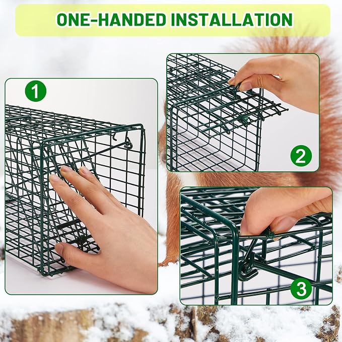 Qualirey 2 Pcs Humane Squirrel Trap Heavy Duty Live Animal Chipmunk Catch and Release Rat Trap for Outdoor Small Animals Mouse Raccoon Stray Cat Rodent Weasels(Green)