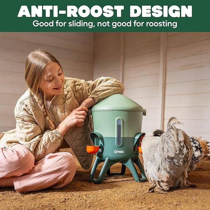 Omlet Insulated Chicken Waterer, 1.5 Gallon | Stay-Clean Automatic Water Dispenser for Chickens | BPA-Free | Anti-Roost Domed Lid | Includes 3 Cups & Nipples | Sage Green