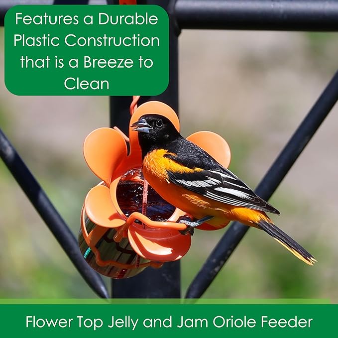 Songbird Essentials Jelly Bird Feeder, Oriole Feeder, Easy to Fill with Jelly or Jam, Plastic Jar Included. Fits Most 10-12 Ounce Jelly Jars