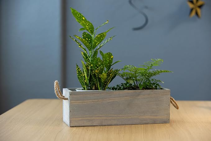 Wooden Planter Box with Handle I Rustic Barn Wood, Plastic Liner l Garden Decor l Restaurant and Wedding Decorations l Wedding Table Centerpiece (12x4 w Handle Set of 4, Natural)