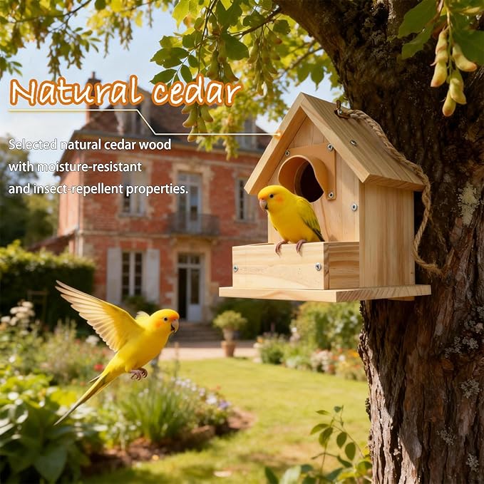 Hanging Bird House for Outside Clearance, Cedar Wooden Bird House to Paint for Finch Bluebird Cardinals, Bird Nest Feeder W/Rain Awning Kit for Outdoor Backyard Courtyard Patio Decor (DIY Detachable)