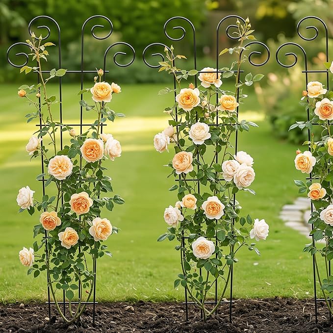 Thealyn 4 Pack 56 Inch Plant Trellis for Potted Plants, Metal Garden Trellis for Climbing Plants, Indoor Outdoor Decorative Vine Support for Pots, Wave Shape, Black