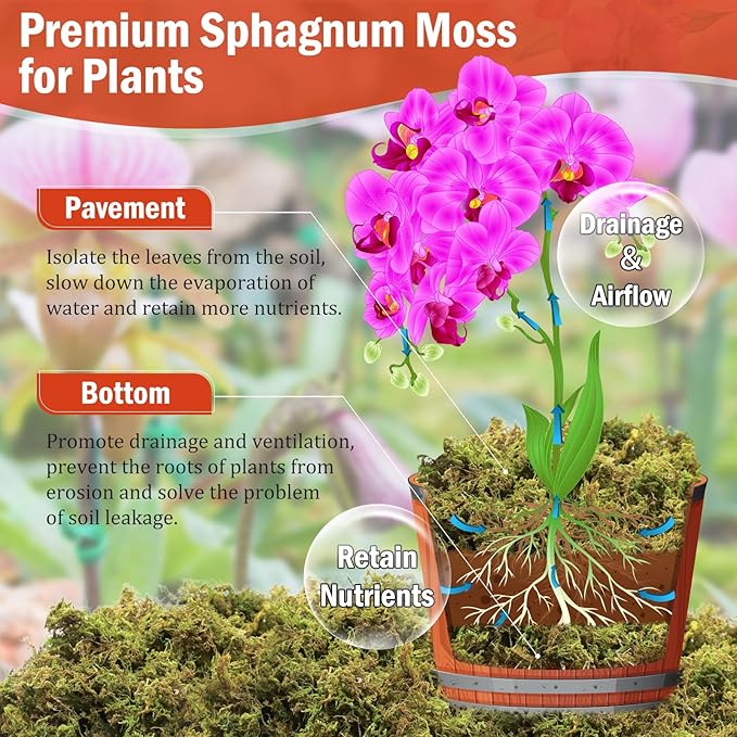 Riare 3.5OZ Premium Sphagnum Moss for Plants- 4QT Natural Dried Plant Moss for Potted Plants, Orchid Moss for Repotting, Soft Green Decorative Moss for Succulents, Reptiles & DIY Crafts