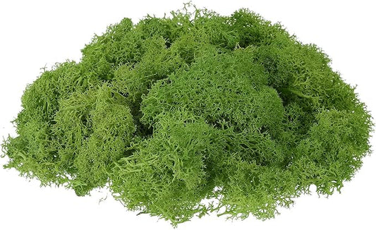 uxcell Preserved Reindeer Moss, 17.6oz Fake Moss for Crafts Artificial Dried Moss for Decoration Terrariums Potted Plants, Light Green