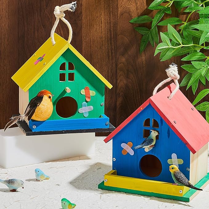 Juexica 2 Pack DIY Birdhouse Kits for Kids Ages 6+ Build and Paint Wooden Bird House Arts and Craft Project with Paint Strips Brushes for Boy Girl Adult Classroom Indoor Outdoor Crafts (Window)