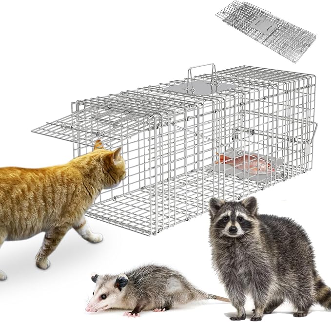 TeqHome Large Live Animal Trap Cage, 31"x11"x12" Live Animal Cage Trap Humane Raccoon Traps Catch Release, Collapsible One-Door Animal Catcher Cage for Cats Opossums Groundhogs Skunks Squirrel Rodent
