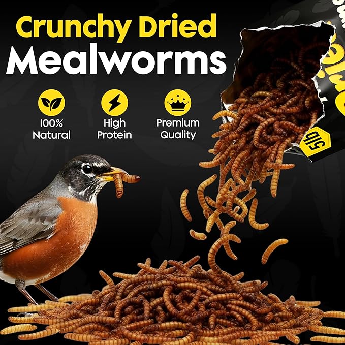 Dried Mealworms for Wild Birds - Crunchy Meal Worms for Wild Birds - High Protein Dried Mealworms for Bluebirds, Cardinals & Woodpeckers - Premium Backyard Bird Treat - All Natural Bird Food (5lbs)