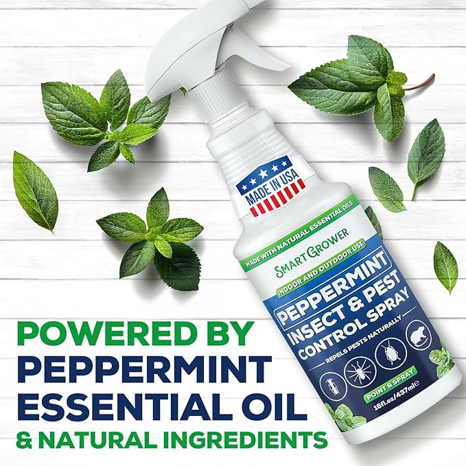 Peppermint Oil Spray for Insect and Pests, Rodents, Mice, Bugs, Spiders, Ants, Wasps - All Natural Pest Control Repellent for Home Indoor Outdoor Garden, Maximum Strength, Ready to Use, 16 FL OZ