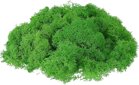 uxcell Preserved Reindeer Moss, 17.6oz Fake Moss for Crafts Artificial Dried Moss for Decoration Terrariums Potted Plants, Green
