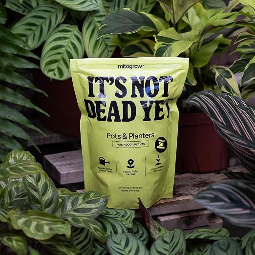 Pots & Planters - It’s Not Dead Yet mitogrow Patented Powder Formula, Makes 50 Gallons