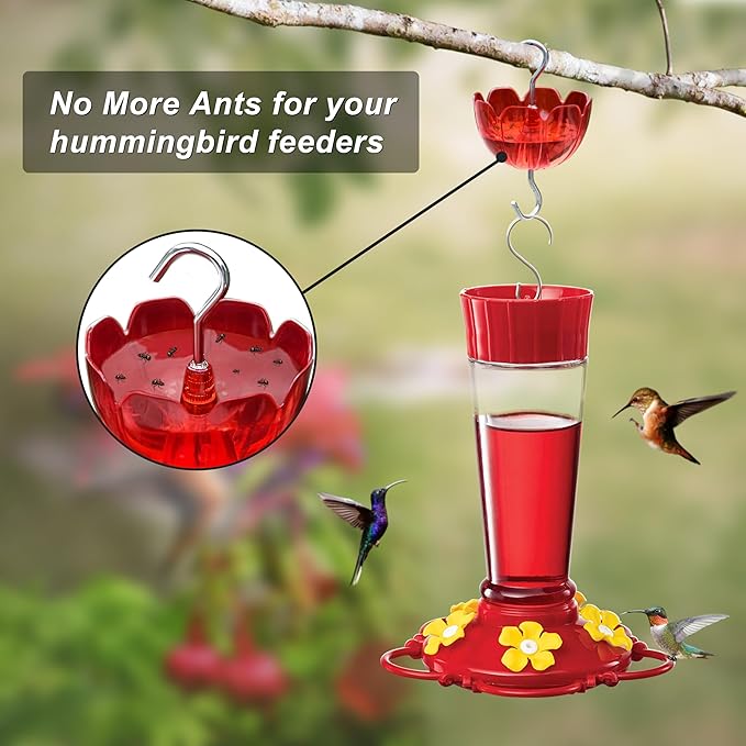 6-Pack Hummingbird Feeder Ant Guard-Large Ant Moat for Hummingbird Feeders, Outdoor Ant-Proof Handing Feeders Accessories,Twist & Clean Ant Guard,6 Ant Motes for Healthy Birds with Level Window(6 Set)