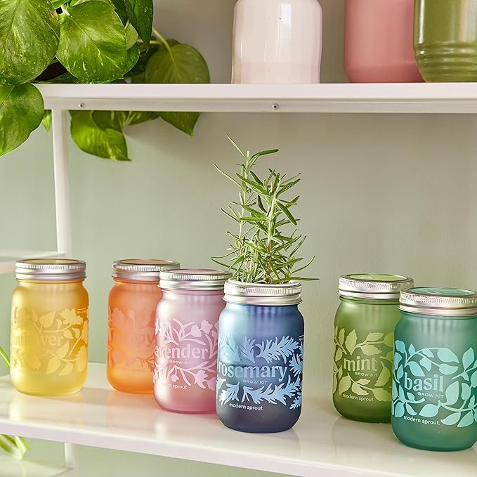 Modern Sprout Mason Garden Jar - Self-Watering Hydroponics Growing System Kit with Organic Herb Seeds - Jar Planter for Indoor Herb Garden - Seed Starter Kit Mint+Rosemary+Poppy
