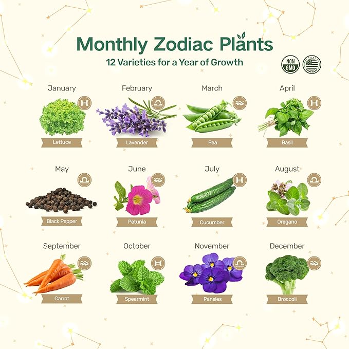 Lush&Dew Zodiac Garden Seed Bank, Gardening Gifts for Women Men, 12 Varieties Non-GMO Vegetables Herb Seeds in Seed Organizer, Magnetic Gift Box, Witchcraft Supplies, Air Signs Taurus Virgo Capricorn