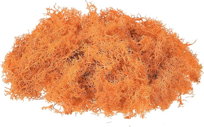 uxcell Preserved Reindeer Moss, 17.6oz Fake Moss for Crafts Artificial Dried Moss for Decoration Terrariums Potted Plants, Orange