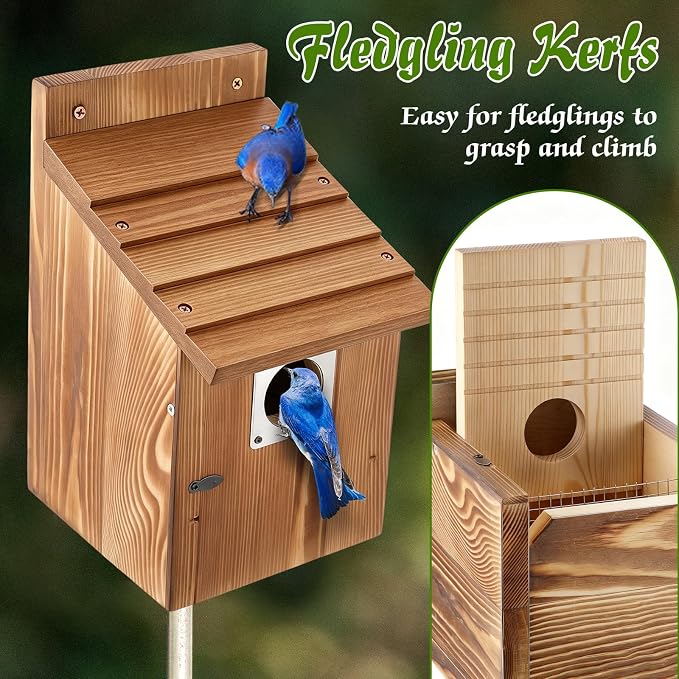 Dreyoo 4 Pack Bluebird Houses for Outside with Metal Predator Guard, 1-1/2" Entrance Hole Wooden Blue Bird Houses for Outdoors, Bluebird Nesting Box(Burnt Wood)