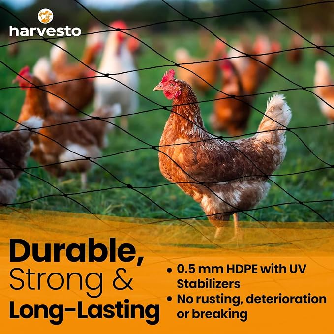 Harvesto Heavy Duty Bird Netting for Chicken Coops & Runs | Tree & Garden Netting Mesh 1-1/2" | Keep Hawks, Birds & Predators Away | Bird Netting for Blueberry Bushes, Vegetables & Fruit (50' x 50’)