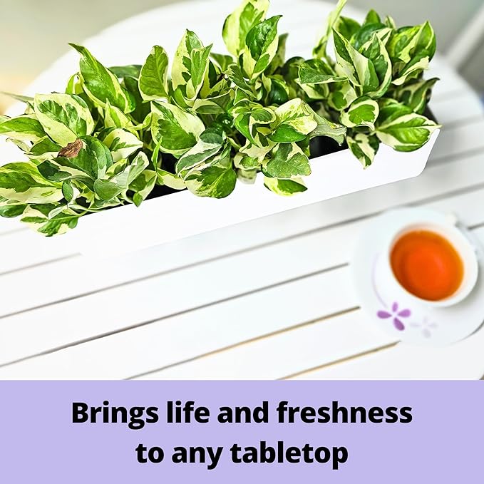 LaLaGreen Bundle- 2 Pack, 16 Inch Rectangular Metal Pot + 16 Inch Three Tier Hanging Planter Vertical Floating Large Shelf Indoor Outdoor Window Boxes Modern Boho Style Plant Holder Wall Mount Decor