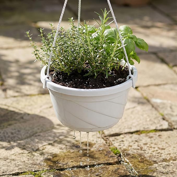 Toddmomy 10Pcs Plastic Hanging Planter with Hooks, Hanging Orchid Pot Flower Pots Baskets Nursery Planter Holder for Plants Outdoor Indoor Garden Balcony