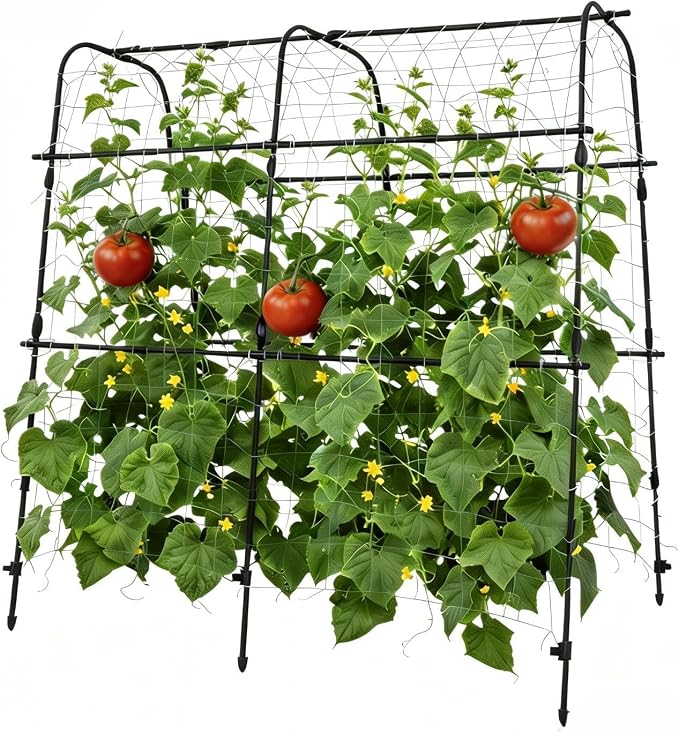 Garden Arch Trellis for Raised Beds, 5.3x5.3FT Plant Support for Cucumbers, Melons, Grapes, Roses & Climbing Vegetables, Outdoor Rust-Resistant Trellis for Vertical Growing, Black