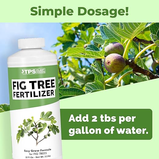 Fig Tree Fertilizer – Liquid Plant Food for Bigger Harvests, Stronger Root Development & Healthy Leaf Growth, 32 oz