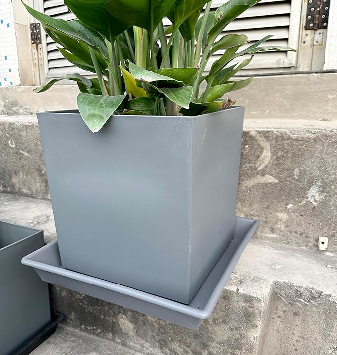 NIMYAU Square Plant Saucer 8 Inch 5 Pack, Plant Stand Plant Trays for Pots Heavy Duty Plastic Gray Plant Saucers for Indoors Outdoors, Flower Pot No Holes Plant Lover Gardening Gifts