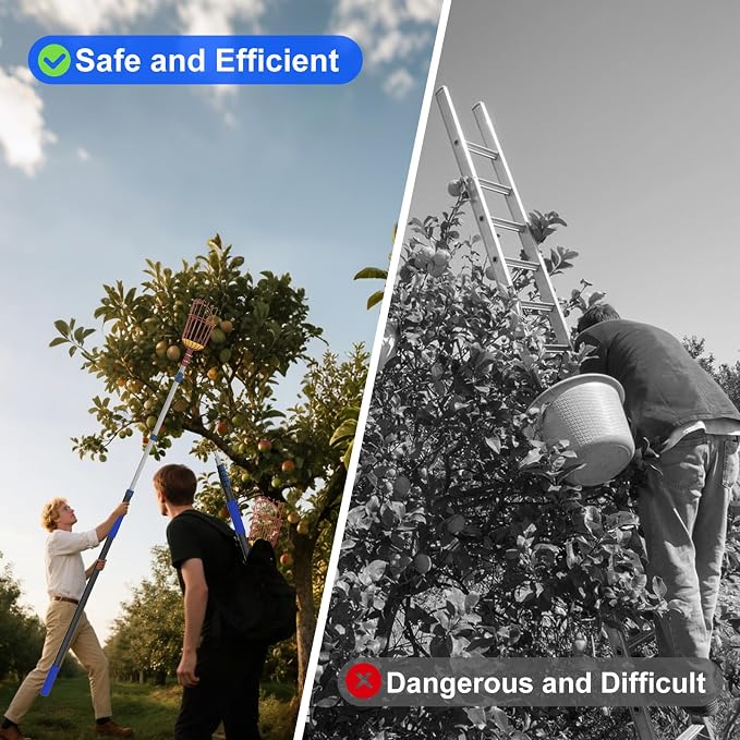 18FT Reach Fruit Picker Pole with Basket Telescoping, 3-12FT Extendable Aluminum Apple Picker for Picking Avocados, Figs, Mangoes, Citrus Fruits - Durable Harvesting Fruit Catcher for Trees