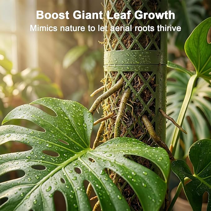 Moss Pole Monstera Plant Support - 42.5" Stackable D-Shape Stakes for Indoor Plants - No-Rot Plastic Sticks & Tall Trellis for Pothos Climbing Vines Houseplant