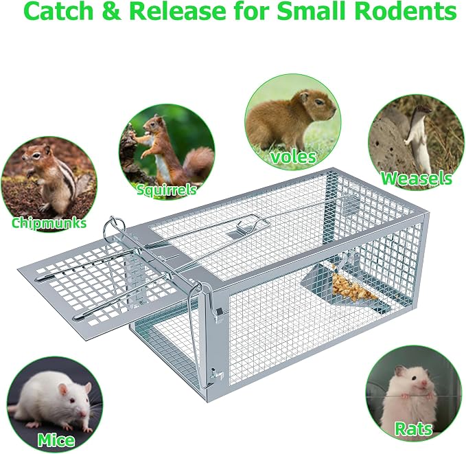 Humane Rat Traps, No Kill Small Animal Cage Trap, Live Mouse Trap Cage Catch and Release, Trampa para Ratones, Chipmunk Rodent Trap that Work for Indoor and Outdoor - 10.6" L x 5.5" W x 4.7" H
