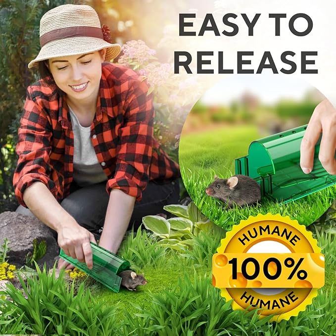 Humane Catch and Release Mouse Traps Pack of 4 - Perfect for House, Indoor & Outdoor - Easy Set Durable Mice Traps, Safe for Children, Pets & Humans - Instantly Remove Unwanted Rodents from Your Home