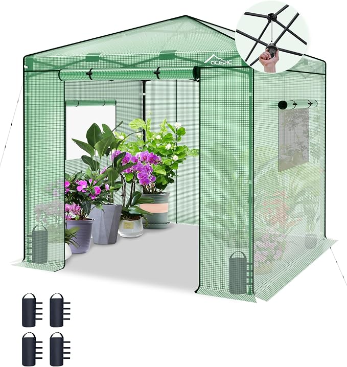 Acepic 8x8 Instant Pop up Greenhouses, Indoor Outdoor Portable Greenhouse Walk-in for All Season, Small Green House with Roll-Up Zipper Doors and Side Windows, 4 Sandbags, Pe Cover, Green/Clear