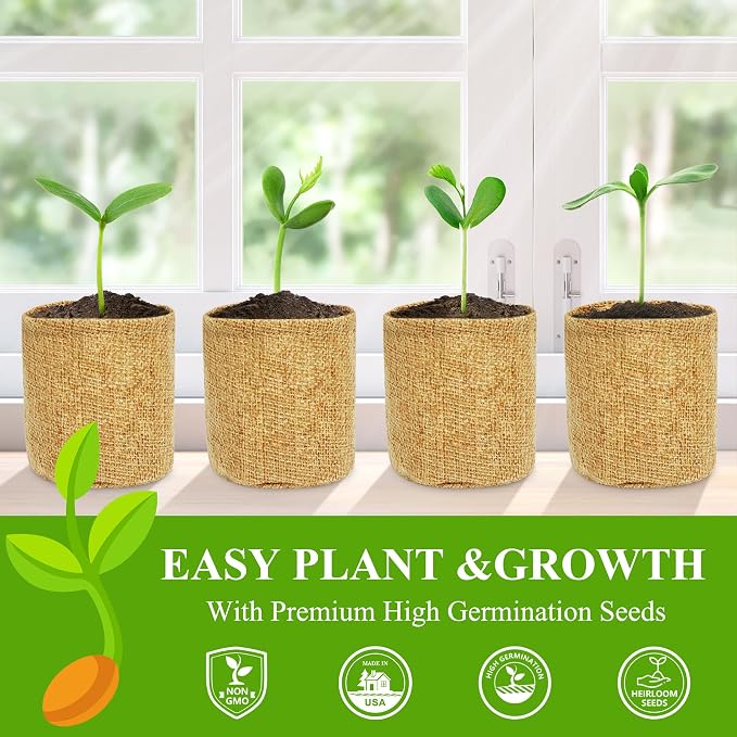 Indoor Herb Garden Kit, Culinary Herb Starter Kit with Seeds & Tools for Beginners, Ultimate Birthday Gifts for Women Men Mom Dad, House Warming Gifts for New Home, Kitchen Decor, Father Day Gifts