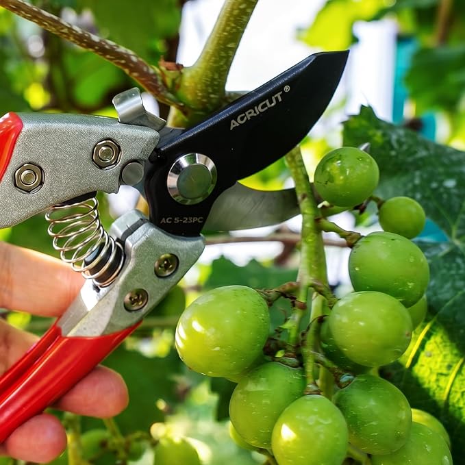 AGRICUT Pruning Shears, 7/8-Inch Cut Capacity Hand Clippers, Bypass Pruners, Gardening Scissors with Sharp Steel Blade (Aluminum Handle, High Carbon Steel)