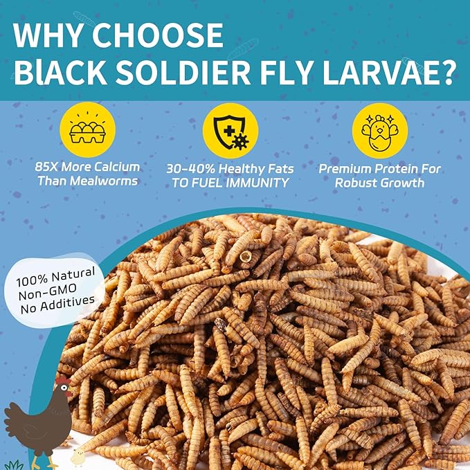 5LB Dried Black Soldier Fly Larvae for Chickens - 85X More Calcium Than Mealworms for Strong Eggshells, High-Protein Chickens Treats for Laying hens, Birds, Ducks