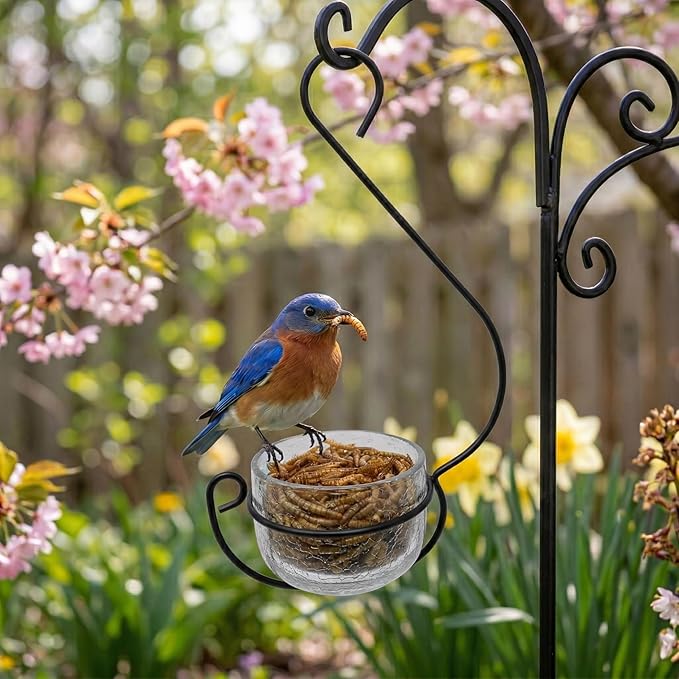 Clear Glass Hanging Bird Feeder - Removable Bowl for Mealworms, Jelly, Nectar, Seed & Fruit - Decorative Wire Hook - Versatile Outdoor Treat Feeder for Bluebirds, Orioles & More